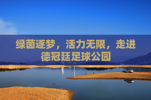 绿茵逐梦,活力无限,走进德冠廷足球公园