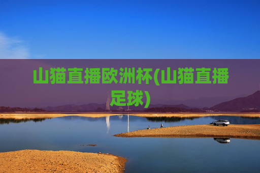 山猫直播欧洲杯(山猫直播足球)
