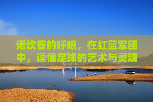 诺坎普的呼吸，在红蓝军团中，读懂足球的艺术与灵魂