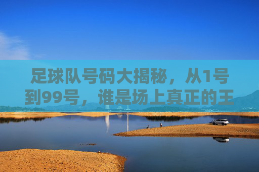 足球队号码大揭秘，从1号到99号，谁是场上真正的王者？