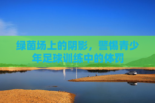 绿茵场上的阴影，警惕青少年足球训练中的体罚