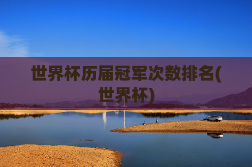 世界杯历届冠军次数排名(世界杯)
