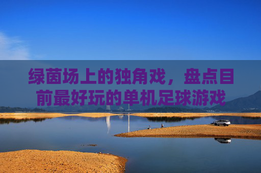 绿茵场上的独角戏，盘点目前最好玩的单机足球游戏