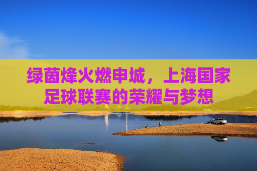 绿茵烽火燃申城，上海国家足球联赛的荣耀与梦想