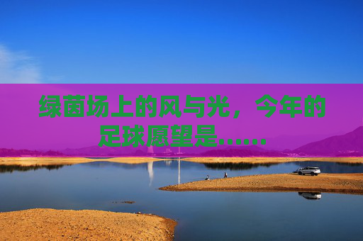 绿茵场上的风与光,今年的足球愿望是……