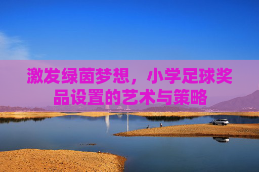 激发绿茵梦想，小学足球奖品设置的艺术与策略
