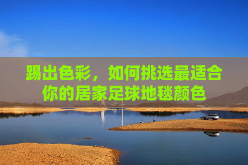 踢出色彩,如何挑选最适合你的居家足球地毯颜色
