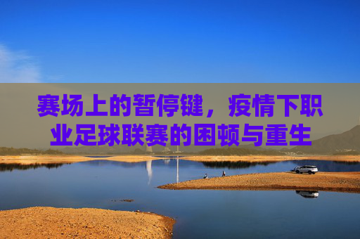 赛场上的暂停键,疫情下职业足球联赛的困顿与重生