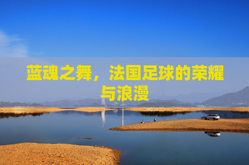 蓝魂之舞,法国足球的荣耀与浪漫