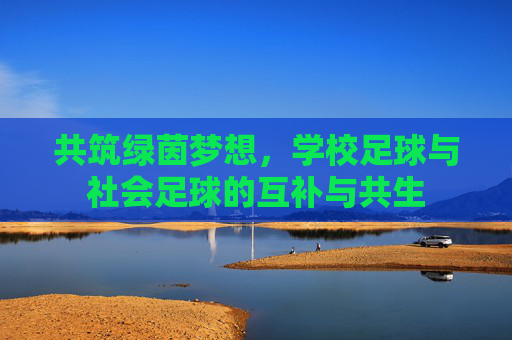 共筑绿茵梦想，学校足球与社会足球的互补与共生