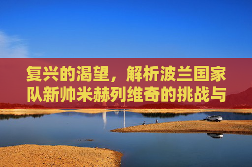 复兴的渴望，解析波兰国家队新帅米赫列维奇的挑战与机遇