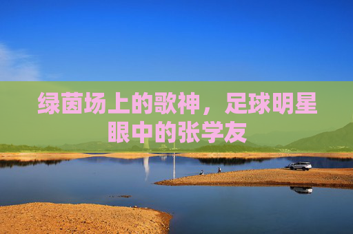 绿茵场上的歌神，足球明星眼中的张学友