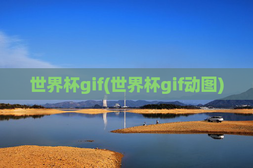 世界杯gif(世界杯gif动图)