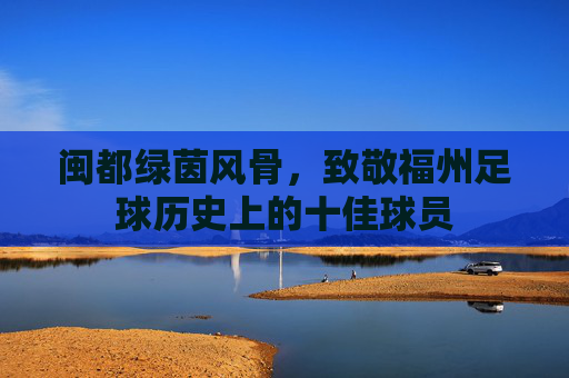 闽都绿茵风骨,致敬福州足球历史上的十佳球员