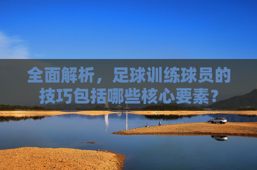 全面解析,足球训练球员的技巧包括哪些核心要素?