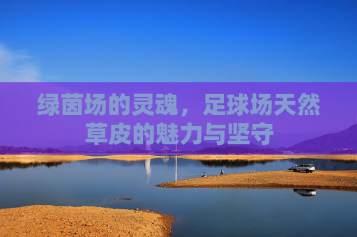 绿茵场的灵魂,足球场天然草皮的魅力与坚守