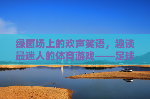 绿茵场上的欢声笑语,趣谈最迷人的体育游戏——足球