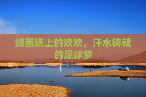 绿茵场上的欢欢,汗水铸就的足球梦