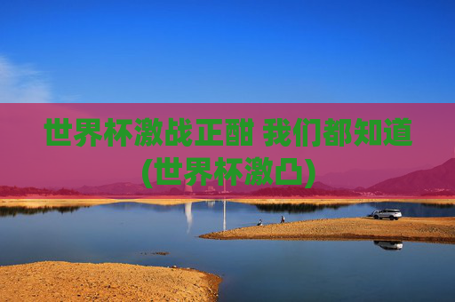 世界杯激战正酣 我们都知道(世界杯激凸)