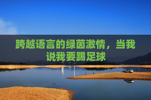跨越语言的绿茵激情，当我说我要踢足球