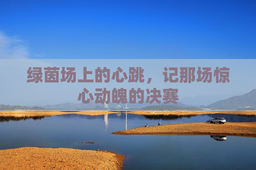 绿茵场上的心跳,记那场惊心动魄的决赛
