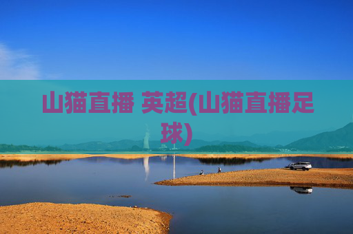 山猫直播 英超(山猫直播足球)