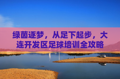 绿茵逐梦,从足下起步,大连开发区足球培训全攻略