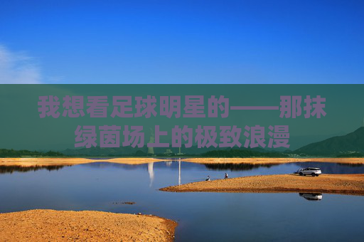 我想看足球明星的——那抹绿茵场上的极致浪漫