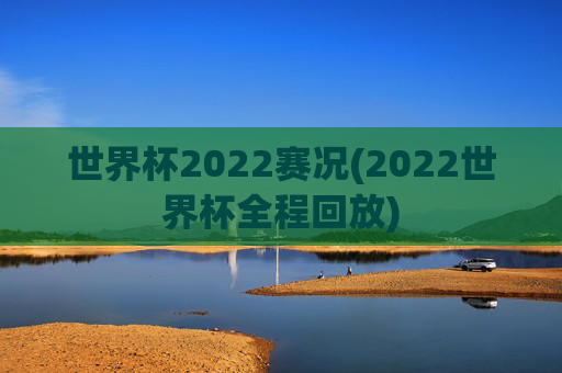 世界杯2022赛况(2022世界杯全程回放)