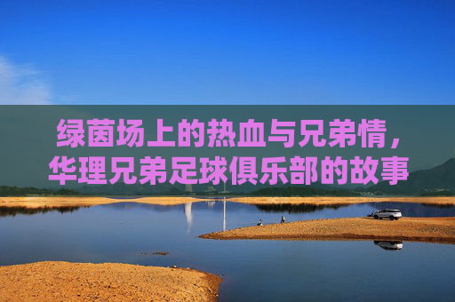 绿茵场上的热血与兄弟情,华理兄弟足球俱乐部的故事