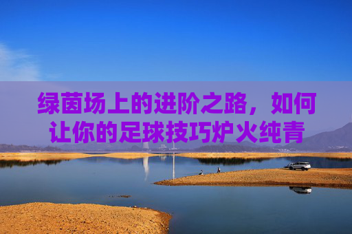绿茵场上的进阶之路，如何让你的足球技巧炉火纯青