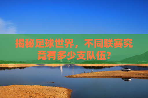揭秘足球世界，不同联赛究竟有多少支队伍？