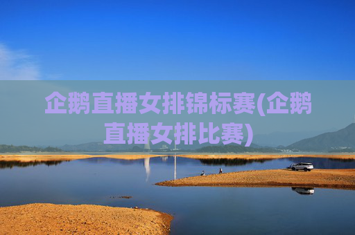 企鹅直播女排锦标赛(企鹅直播女排比赛)