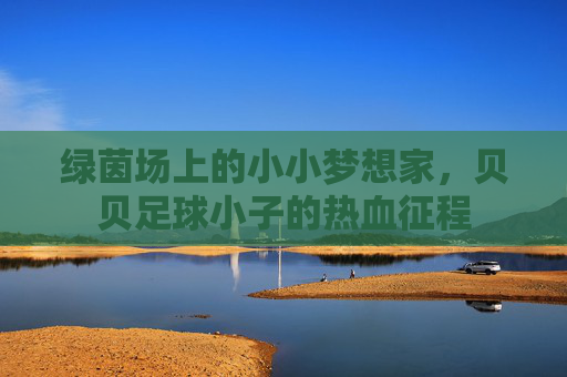 绿茵场上的小小梦想家，贝贝足球小子的热血征程