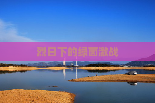 烈日下的绿茵激战