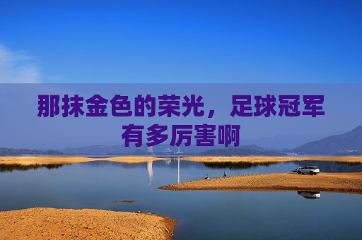 那抹金色的荣光,足球冠军有多厉害啊
