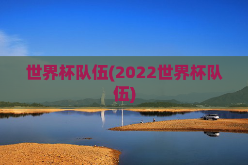 世界杯队伍(2022世界杯队伍)
