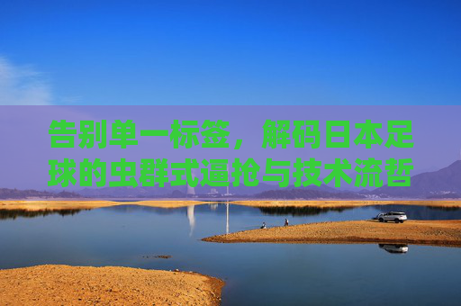 告别单一标签,解码日本足球的虫群式逼抢与技术流哲学