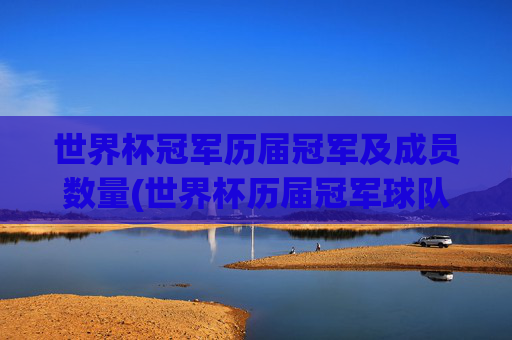 世界杯冠军历届冠军及成员数量(世界杯历届冠军球队)