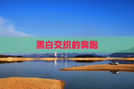 黑白交织的奔跑