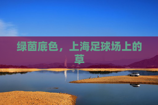 绿茵底色,上海足球场上的草