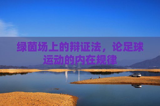 绿茵场上的辩证法,论足球运动的内在规律
