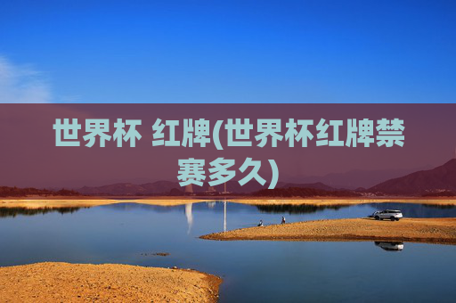 世界杯 红牌(世界杯红牌禁赛多久)