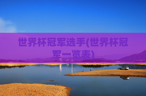 世界杯冠军选手(世界杯冠军一览表)