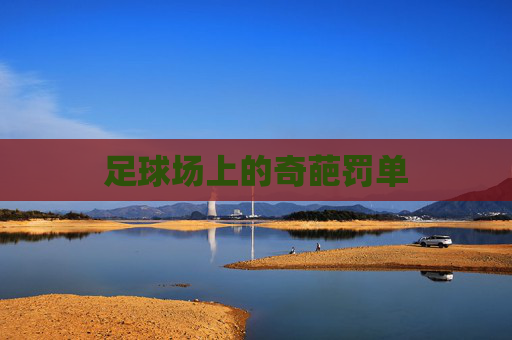 足球场上的奇葩罚单