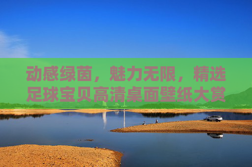 动感绿茵,魅力无限,精选足球宝贝高清桌面壁纸大赏