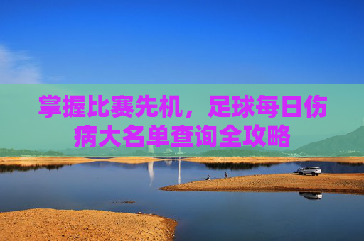 掌握比赛先机,足球每日伤病大名单查询全攻略