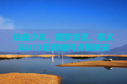 热血少年,逐梦绿茵,看义乌U13足球如何点燃未来