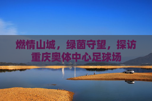 燃情山城,绿茵守望,探访重庆奥体中心足球场