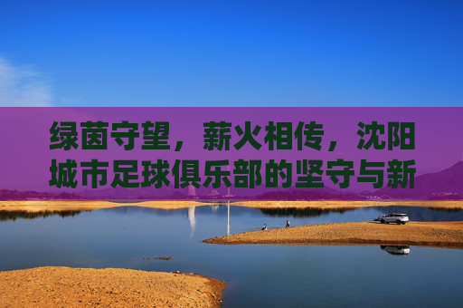 绿茵守望，薪火相传，沈阳城市足球俱乐部的坚守与新生